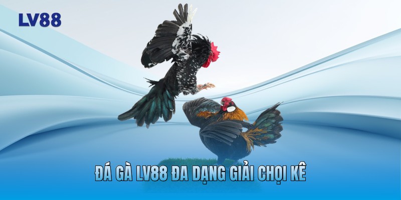 Đá gà LV88 đa dạng giải chọi kê