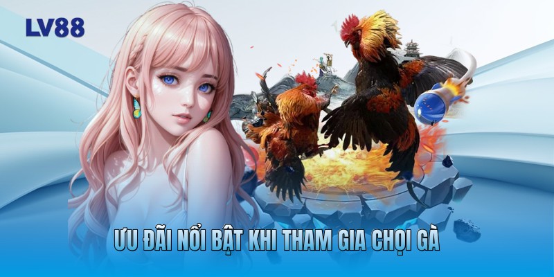 Ưu đãi nổi bật khi tham gia chọi gà